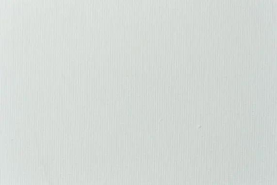 ווינדסור קזינו תמיכה